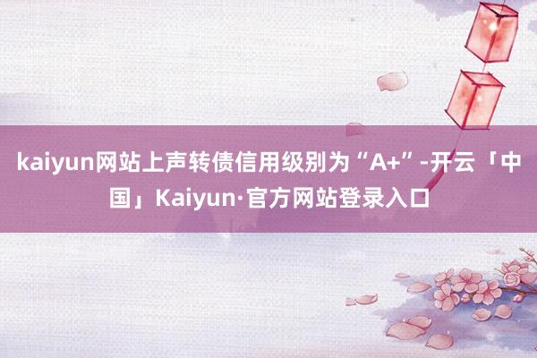 kaiyun网站上声转债信用级别为“A+”-开云「中国」Kaiyun·官方网站登录入口