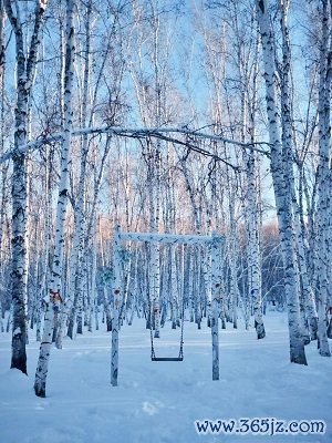 开云官网登录入口但到了之后才发现东北东说念主真的很存眷-开云