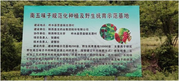 kaiyun网站公司通过产业振兴的神气-开云「中国」Kaiy